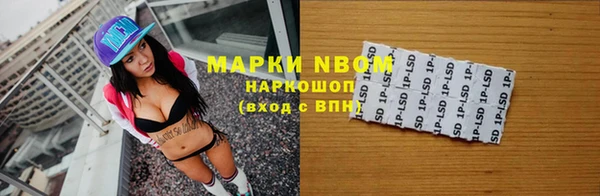 гашик Верея
