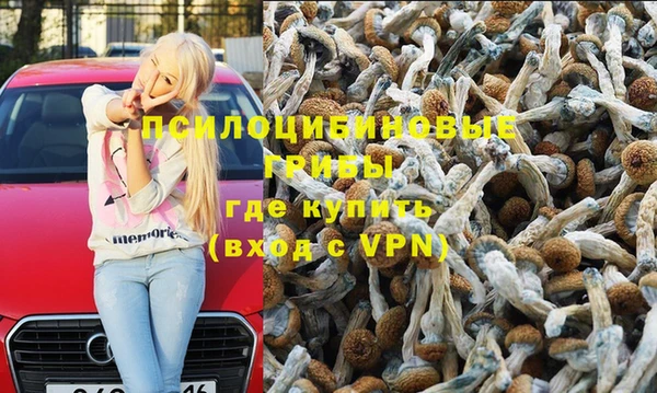 гашик Верея