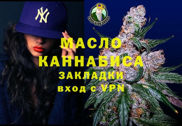 гашик Верея