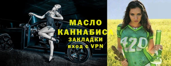 гашик Верея