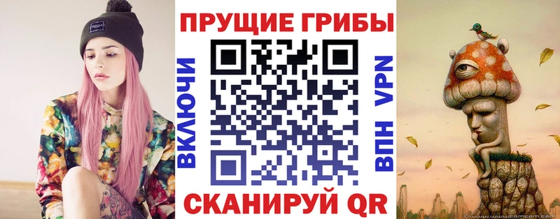 Псилоцибиновые грибы Cubensis  Новосокольники 